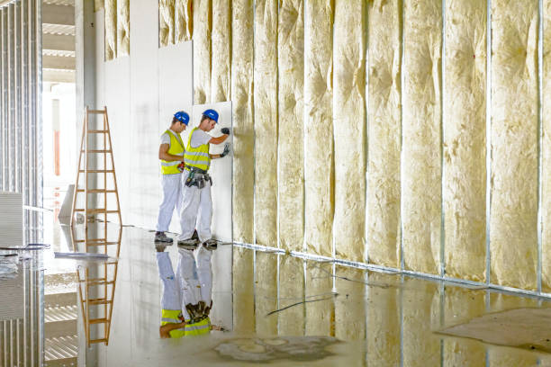 Professional Insulation Contractor in KS